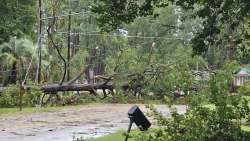 Hurricane Idalia: Food Lion Feeds Donates $20,000 to Address Critical Needs in Southern Georgia